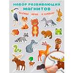 Игры на магнитах Дрофа-Медиа Лесные животные 4232