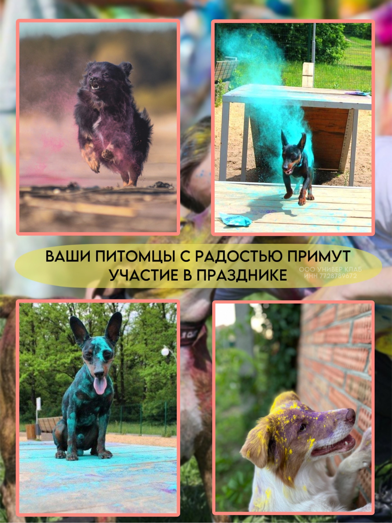 Краски текстильные Holi Like 3 цв. - фото 9
