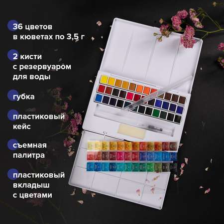 Краски акварель Brauberg 6 цв.