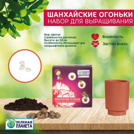 Набор для выращивания ЗЕЛЕНАЯ ПЛАНЕТА