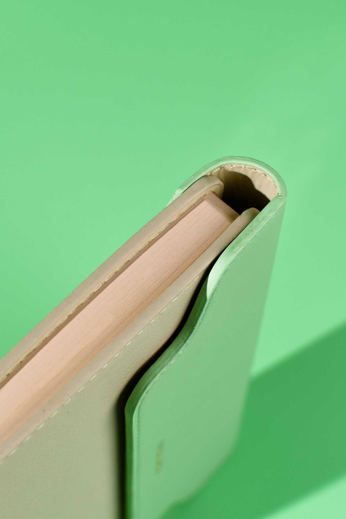 Ежедневник Феникс + ESCALADA 120 лист. - фото 5