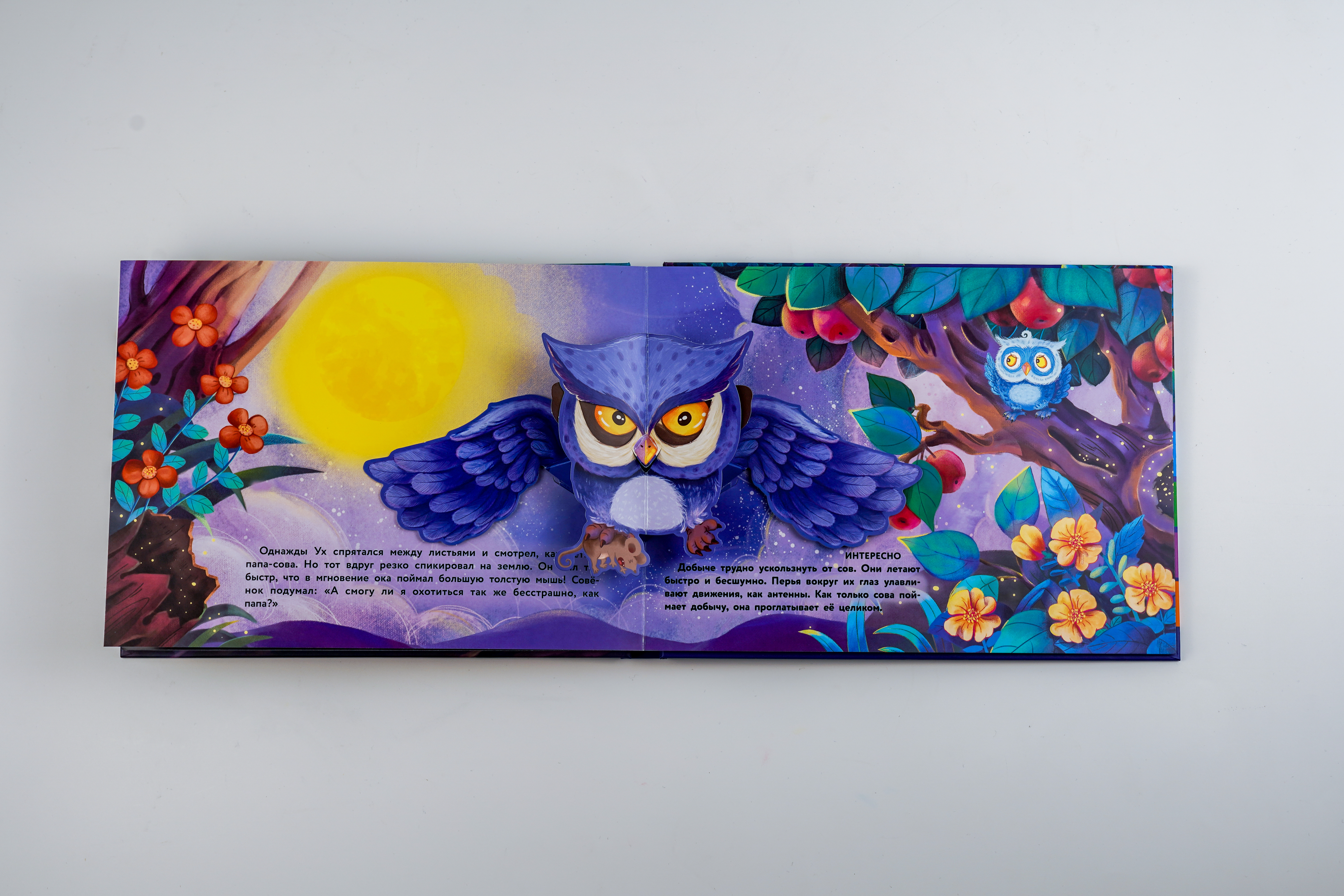 Книга АСТ Совёнок больше не боится темноты - фото 5