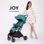 Коляска прогулочная Rant Basic Joy зеленый