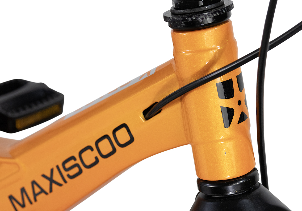 Двухколесный велосипед Maxiscoo 16 дюймов - фото 4