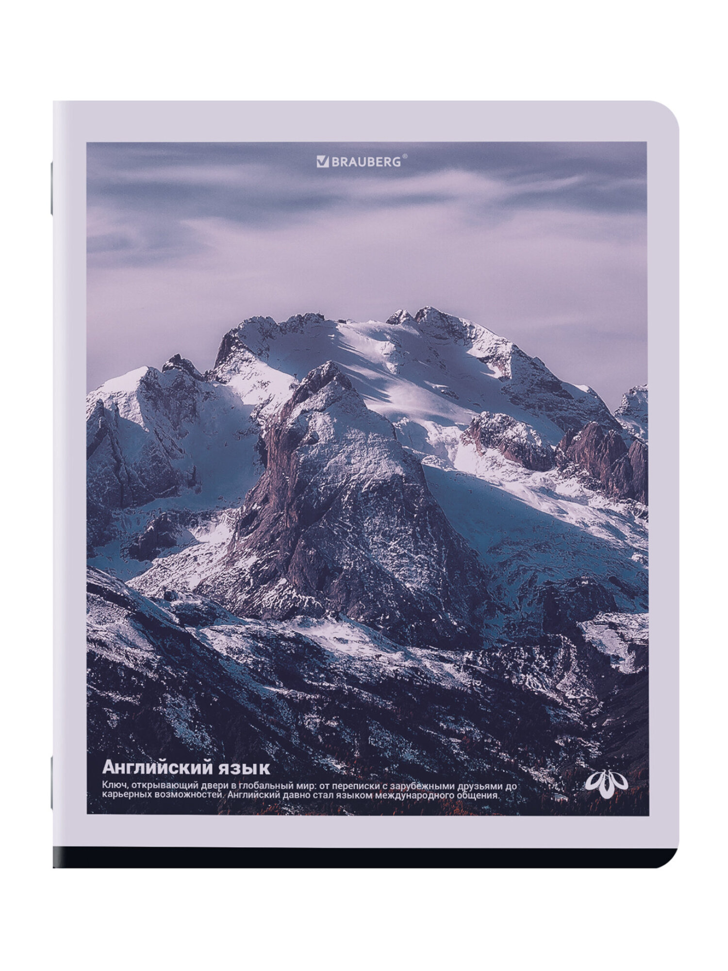 Тетрадь Brauberg 48 лист. 12 шт. - фото 8