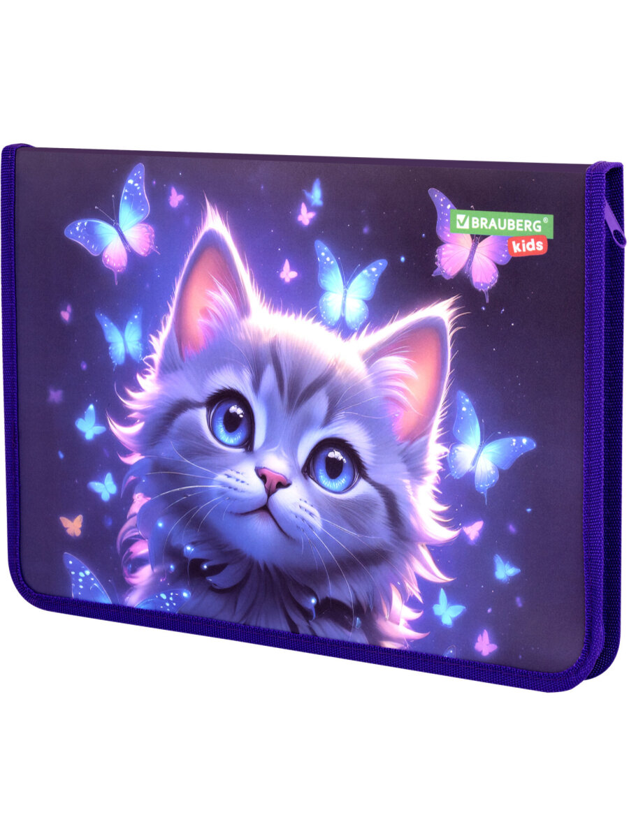 Папка для тетрадей Brauberg А4 - фото 6