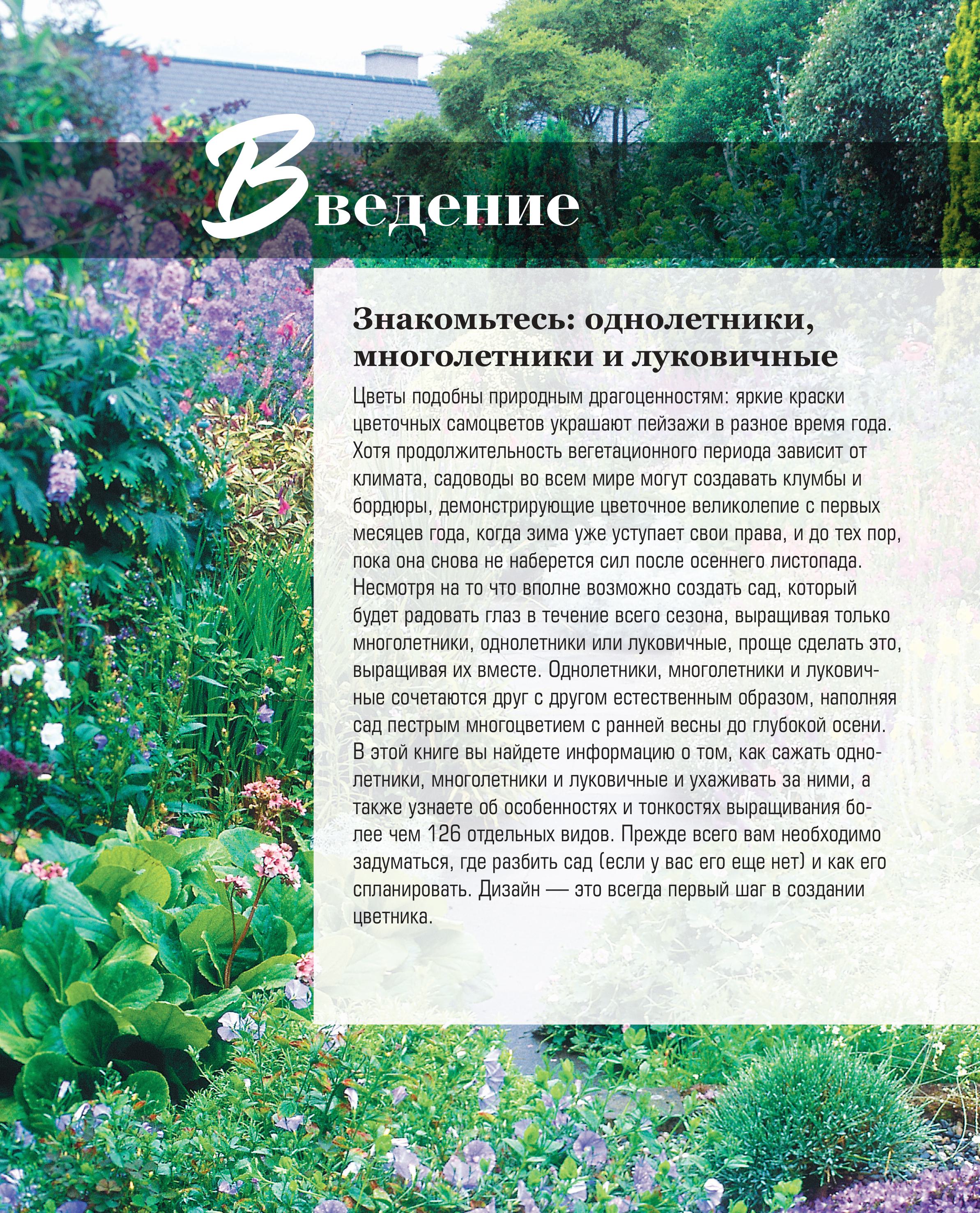 Книга БОМБОРА Библия садовых цветов. Однолетники, многолетники и луковичные - фото 6