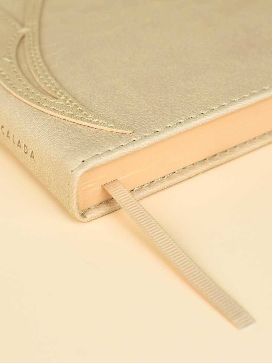 Ежедневник Феникс + ESCALADA 160 лист. - фото 9