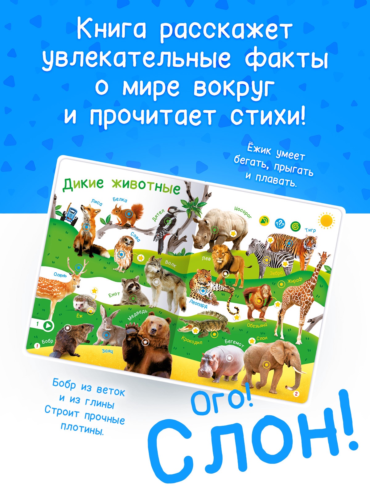 Говорящая книга Буква-ленд Мир вокруг малыша Синий трактор - фото 10