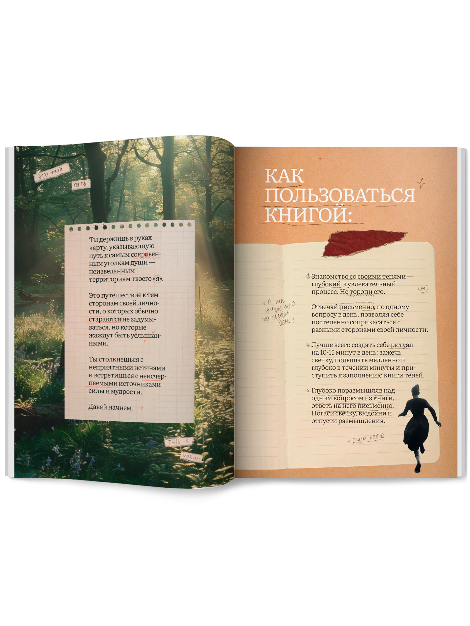 Книга Феникс теней путешествие по подсознанию - фото 15