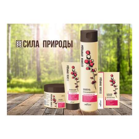 Бальзам BIELITA