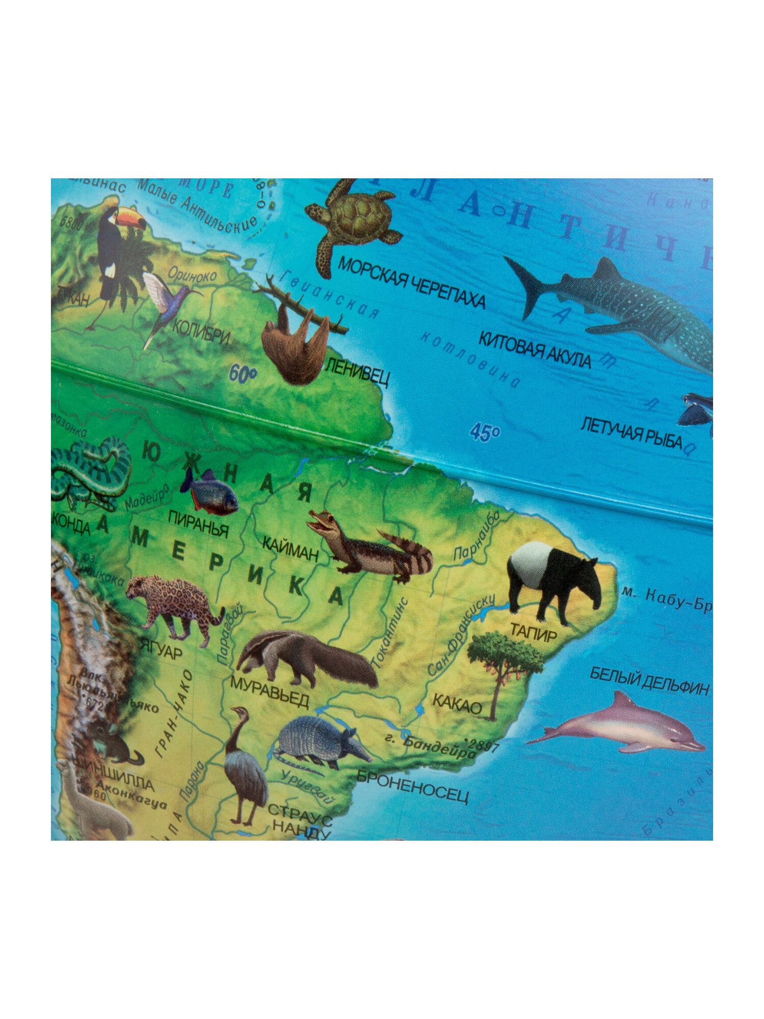 Глобус Globen интерактивный зоогеографический с подсветкой и VR очками диаметр 25 см - фото 21