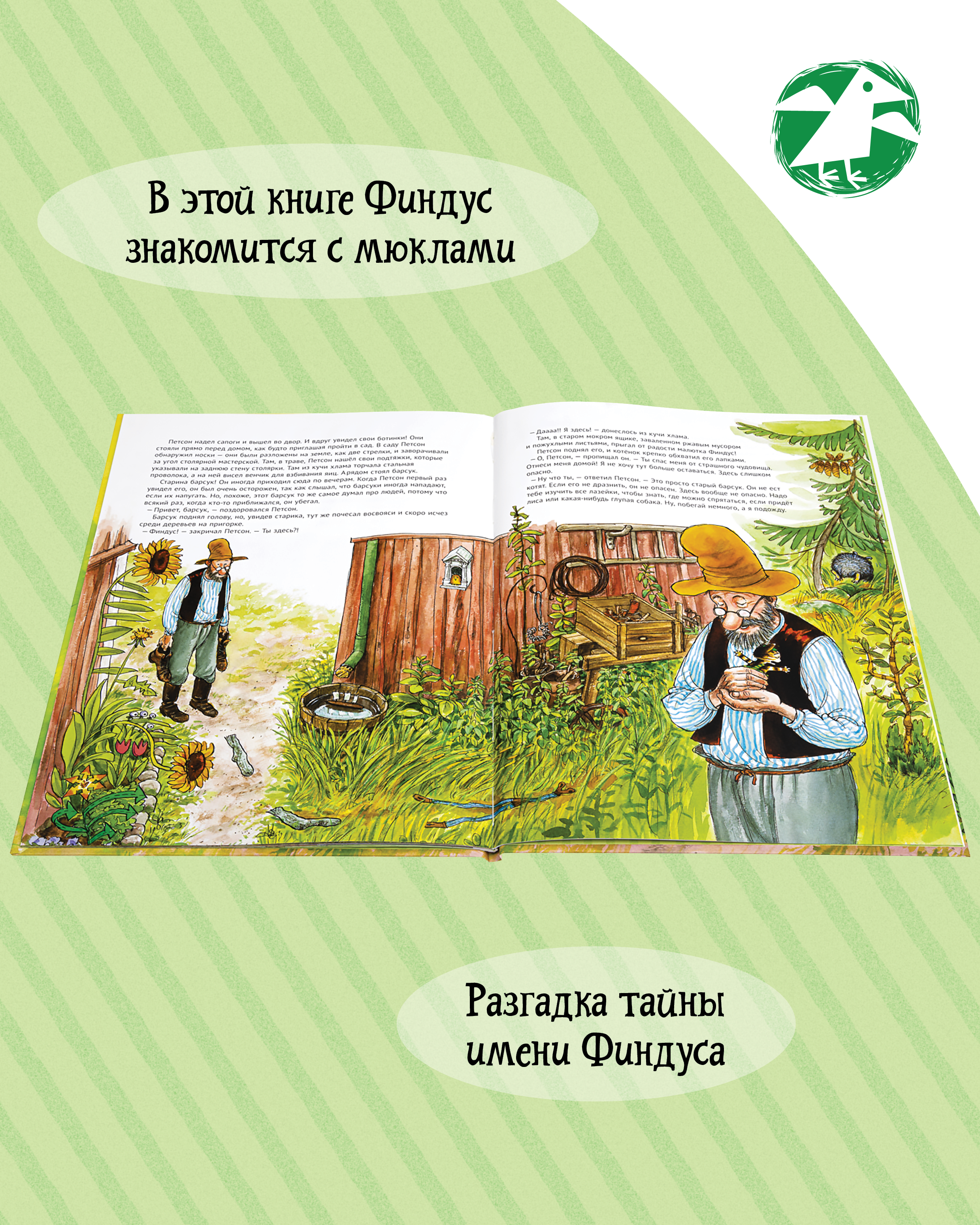 Книга ALBUS CORVUS История о том как Финдус потерялся когда был маленьким - фото 4