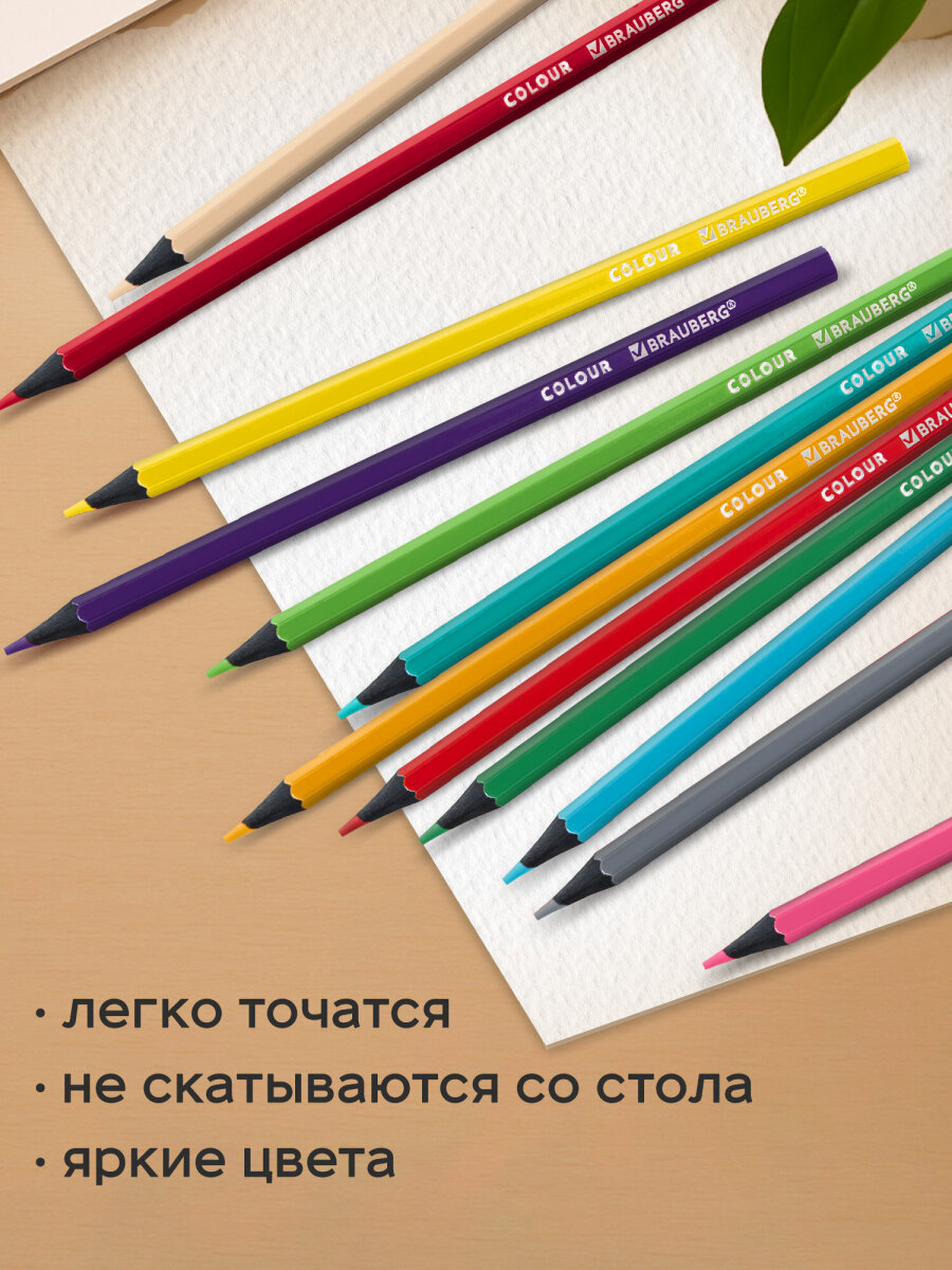 Карандаши цветные Brauberg 24 шт. - фото 3