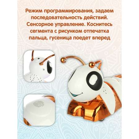 Насекомое РУ Veld Co