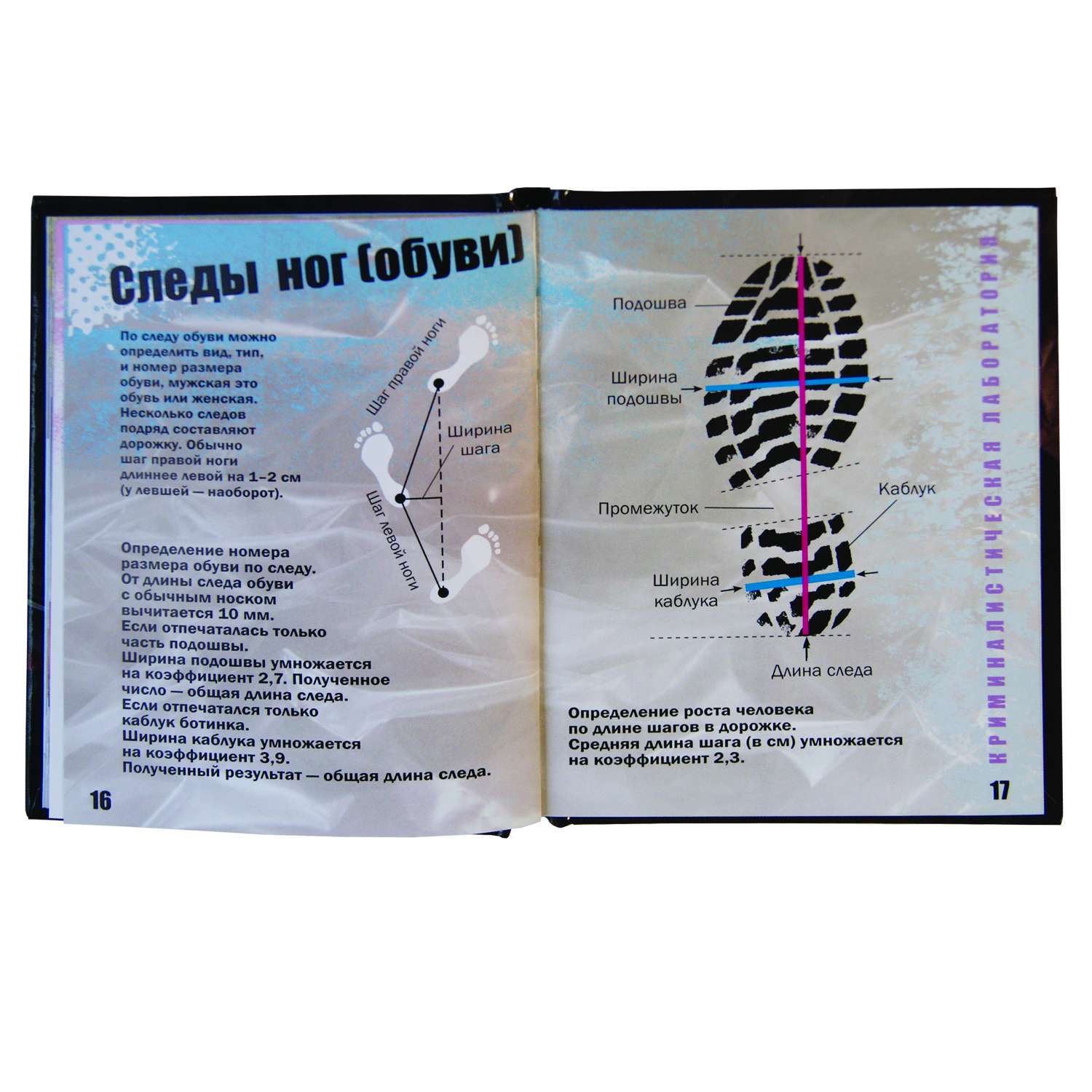 Настольная игра Маэстро - фото 5