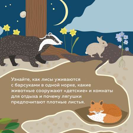 Книга Махаон Что внутри? Как устроены дома животных.