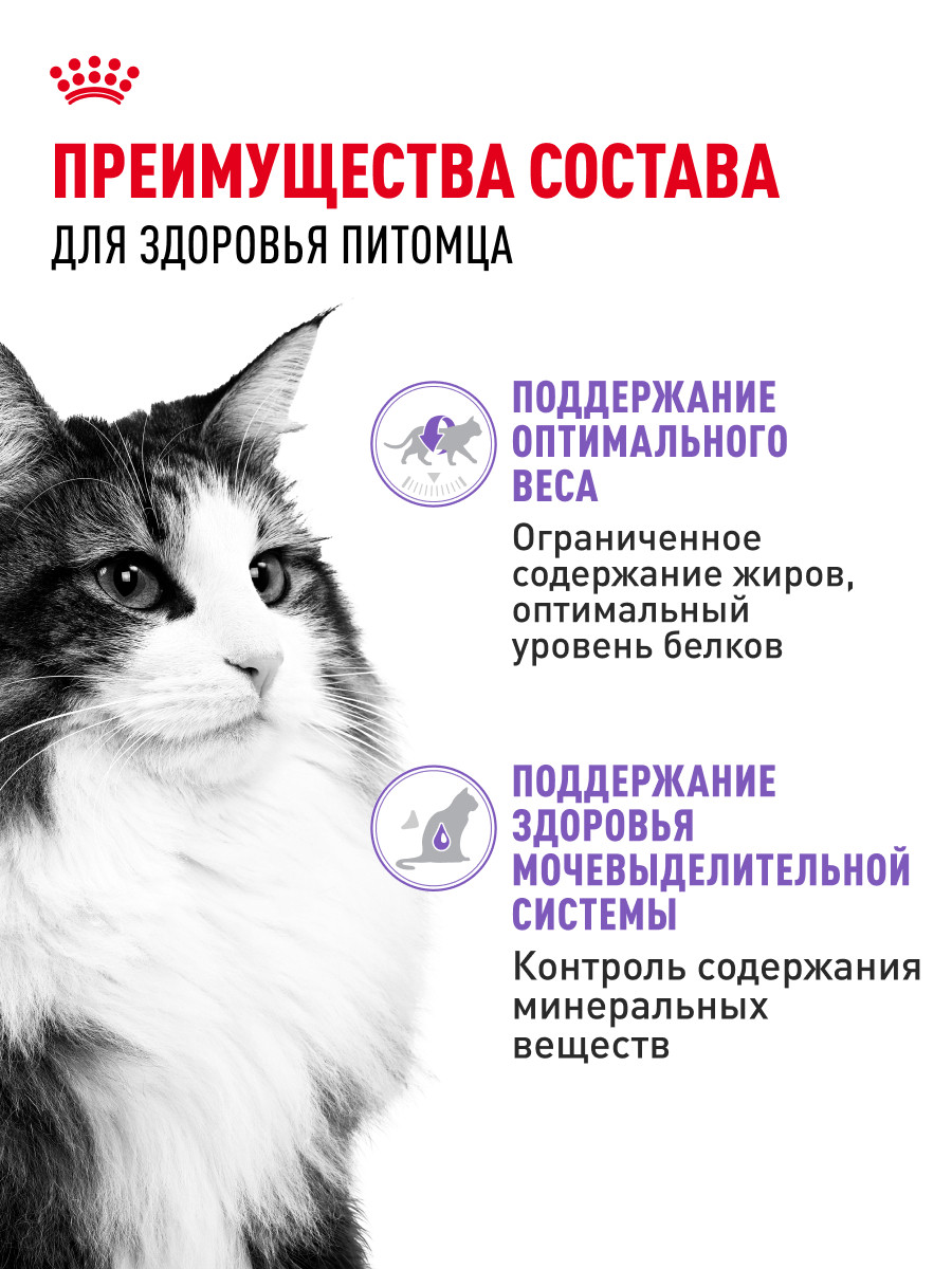 Корм для кошек ROYAL CANIN Indoor Sterilised для взрослых стерилизованных паштет 85г - фото 3