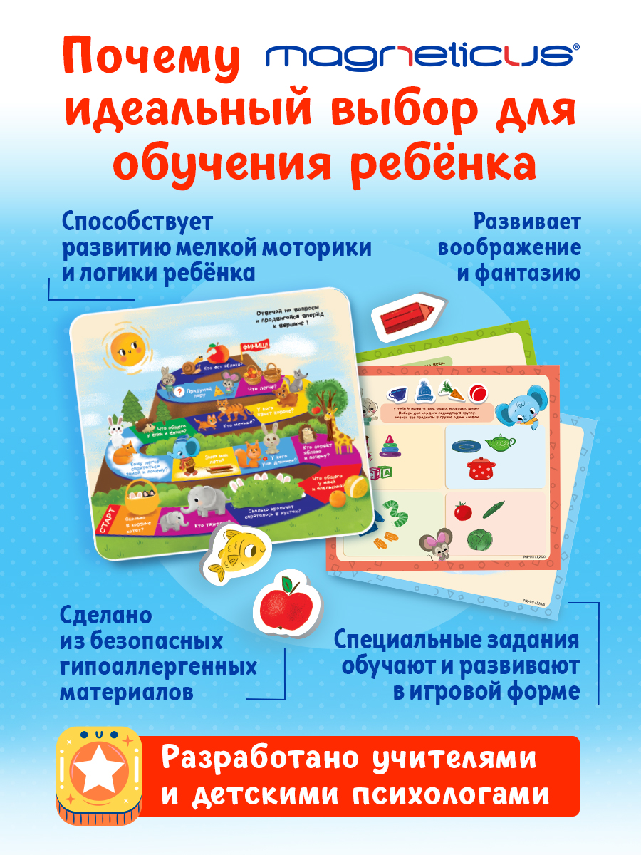 Настольная игра MAGNETICUS - фото 6