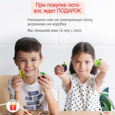 Настольная игра Alatoys Лото Тутти-Фрутти