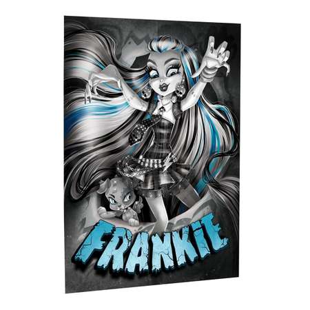 Кукла модельная Monster High Фрэнки Штейн высота 27 см