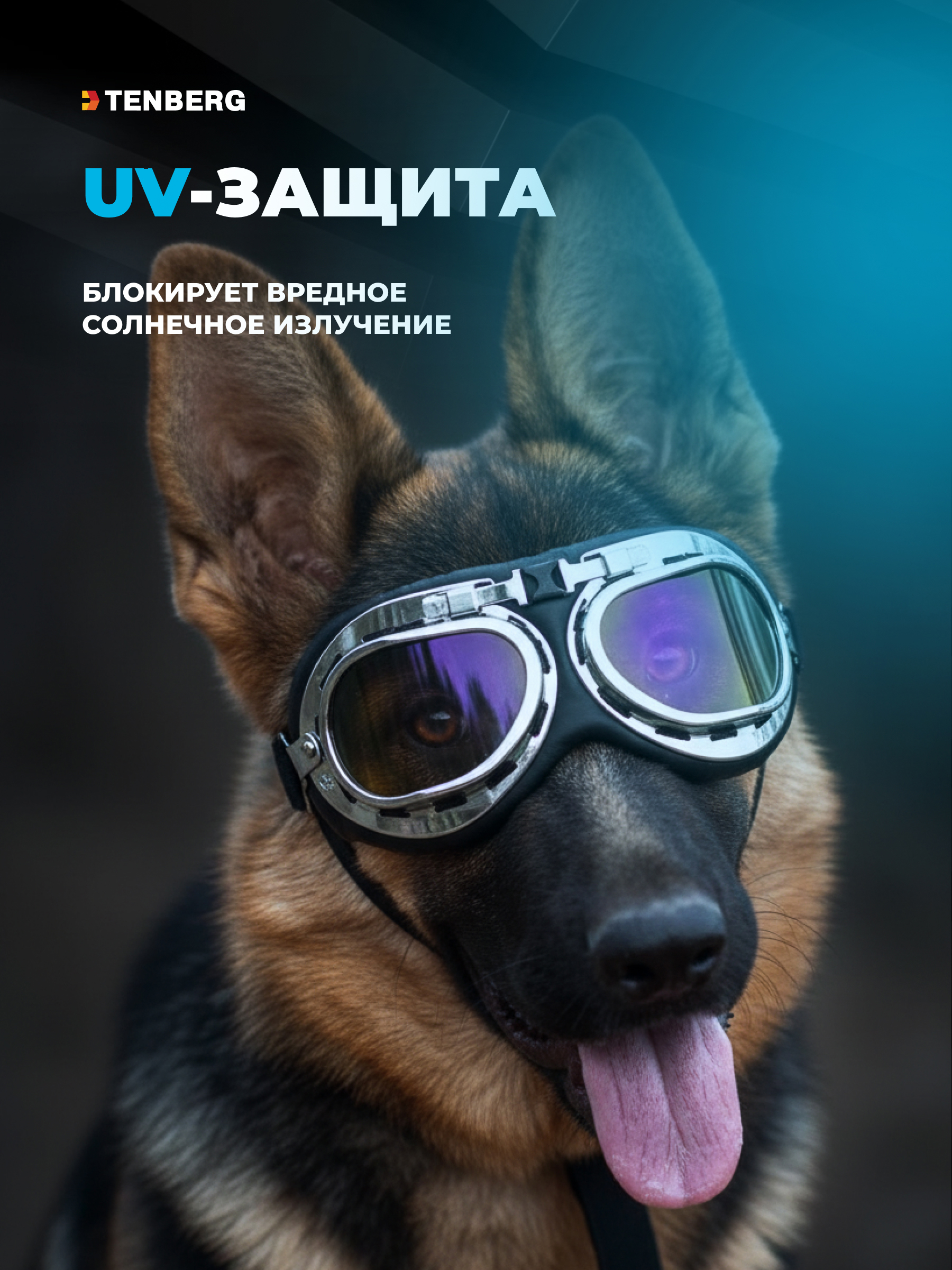Солнцезащитные очки для собак TENBERG Barkley UV Silver - фото 6