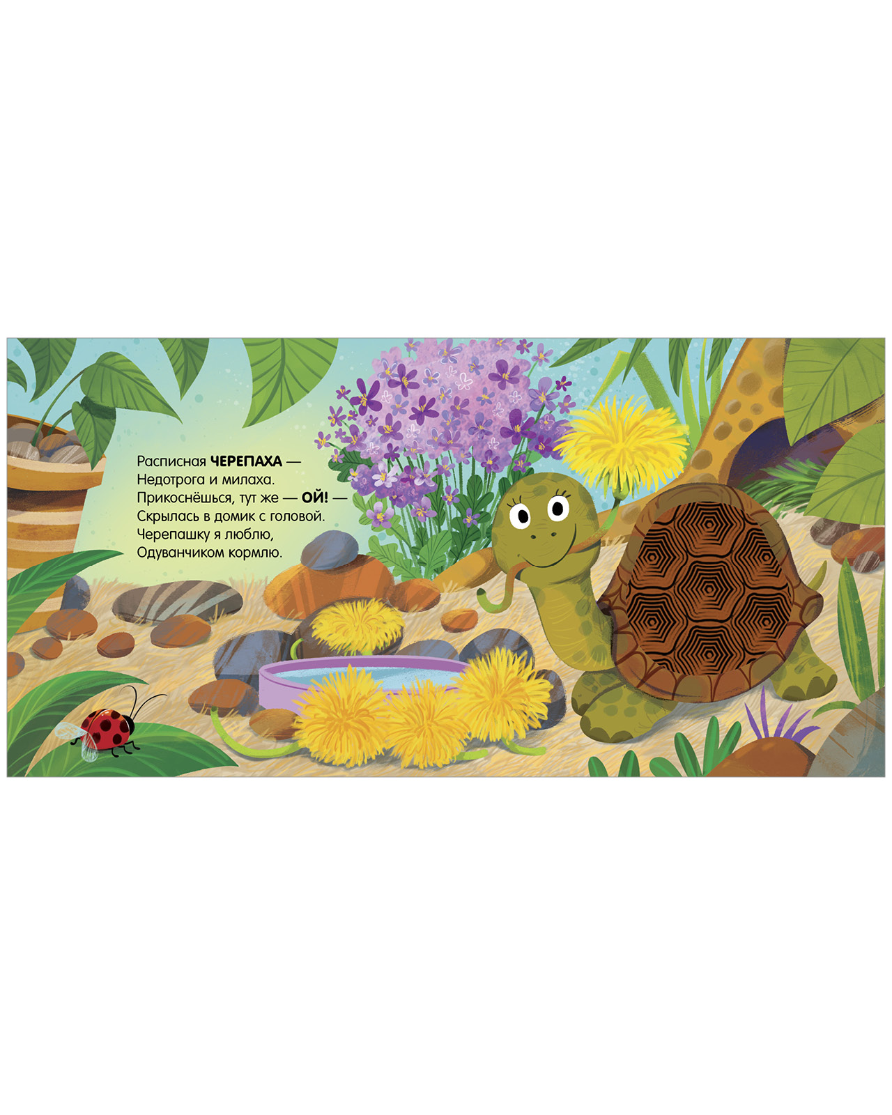 Книга Clever Любимые питомцы - фото 6