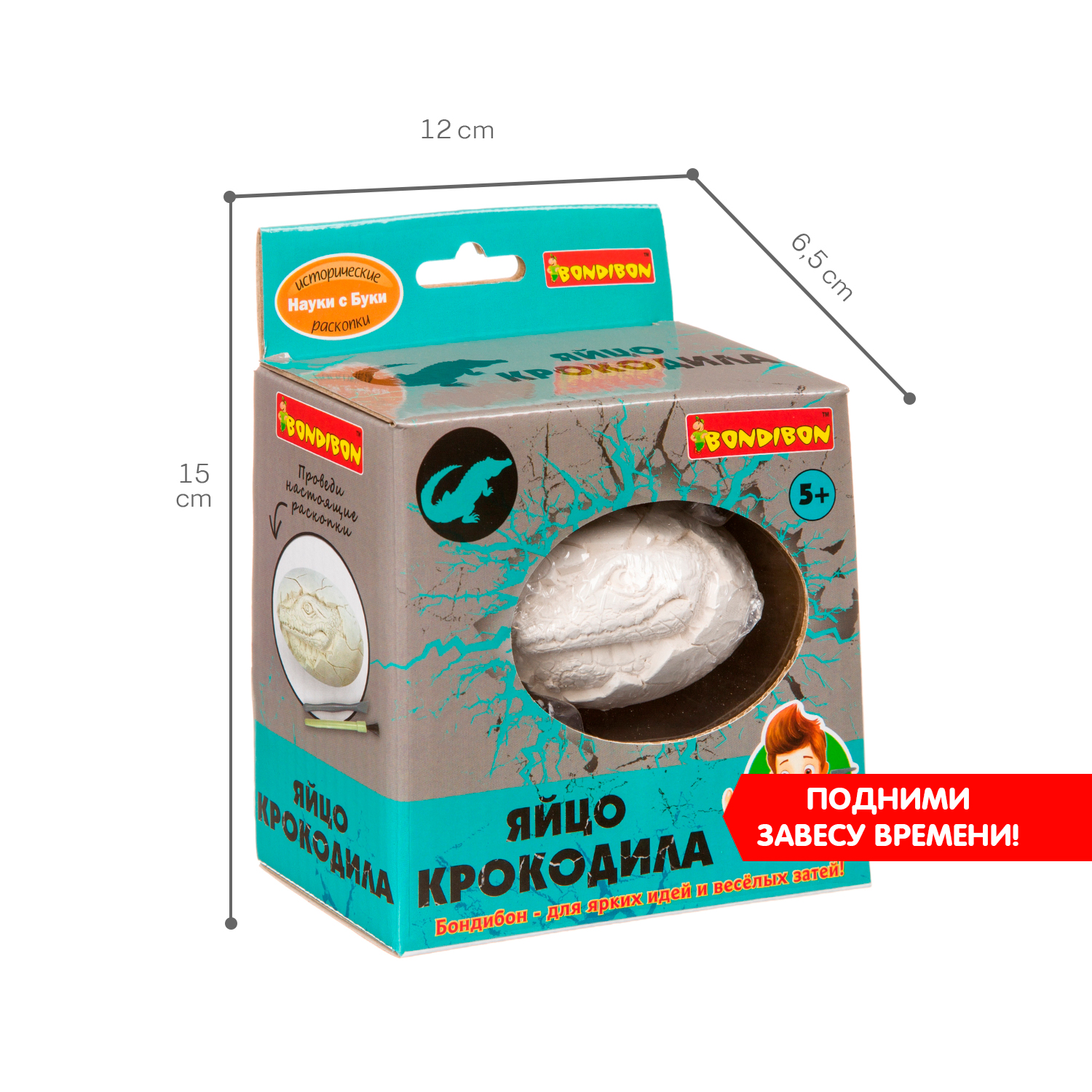 Набор для раскопок Bondibon палеонтология: Яйцо крокодила - фото 8