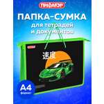 Папка для тетрадей Пифагор А4