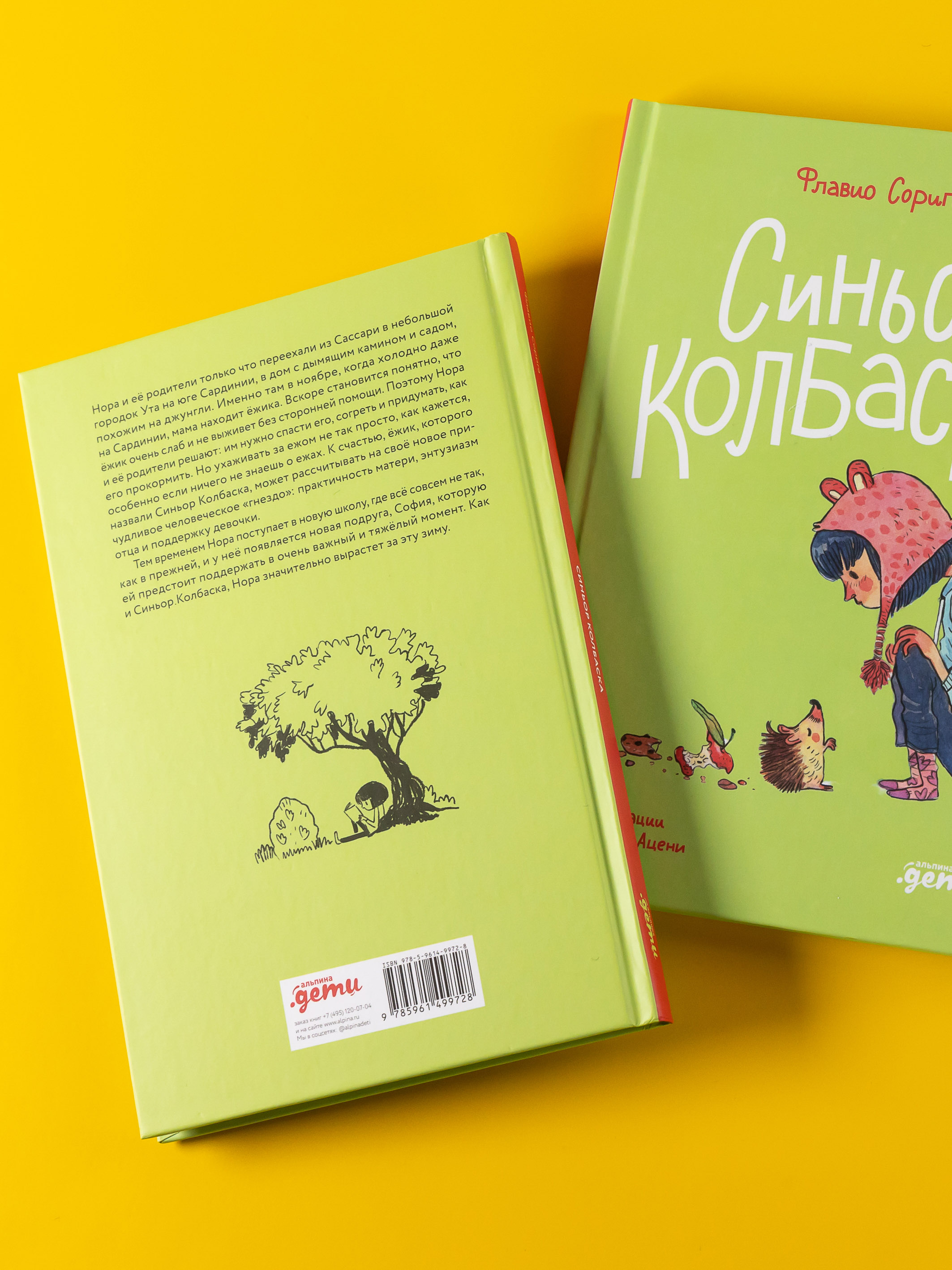 Книга Альпина. Дети Синьор Колбаска : История о ёжиках дедушках и бабушках и об изменении климата - фото 2