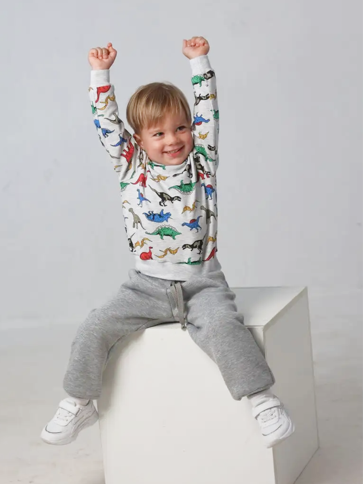 Свитшот Касаточка СШ-11и серый с рисунком Динозавры - фото 2