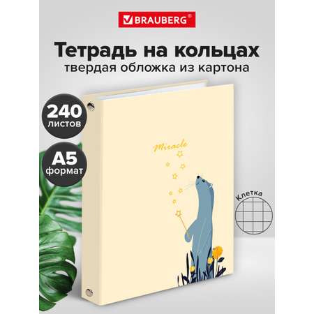 Тетрадь со сменным блоком Brauberg клетка 240 лист.