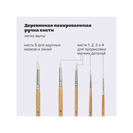 Кисть Пифагор 5 шт. (коза)