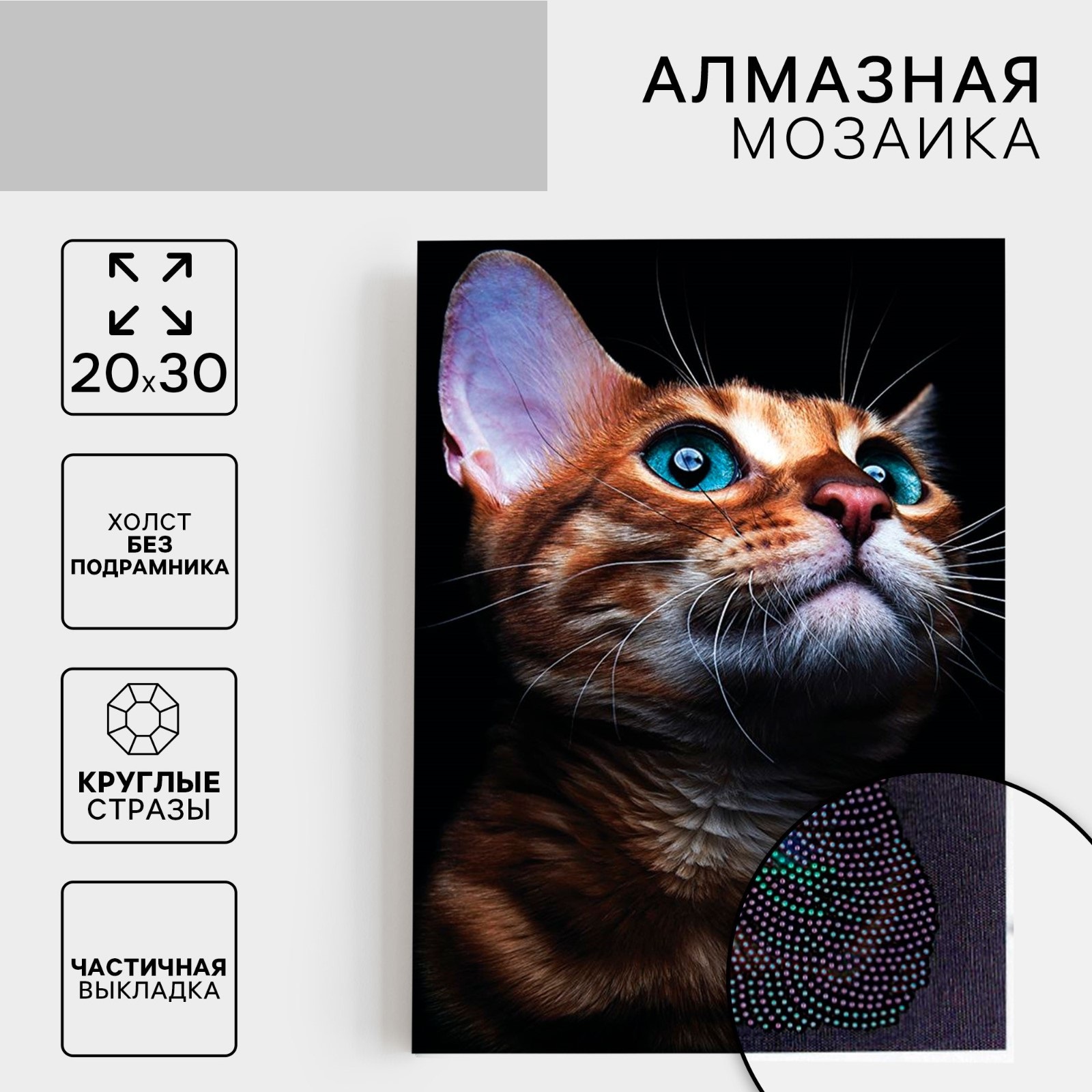 Алмазная мозаика Школа Талантов Взгляд кошки - фото 1