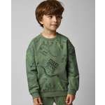 Свитшот Futurino