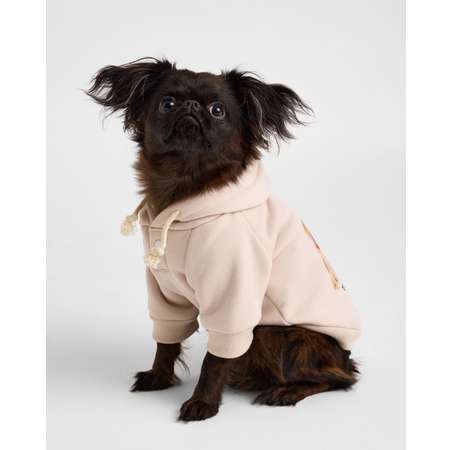 Худи для собак и кошек Зоозавр