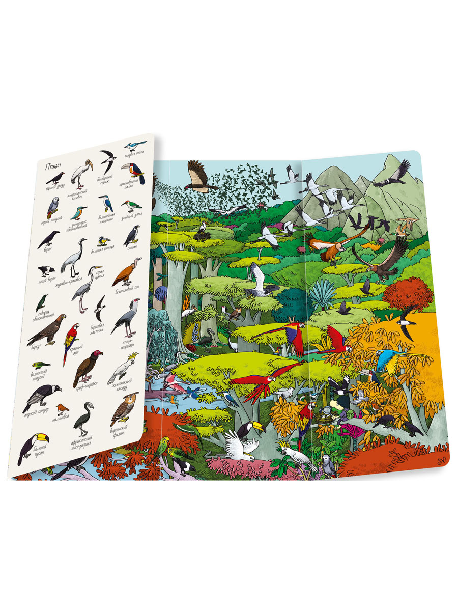 Книга Clever Издательство Найди и покажи. Мир животных - фото 2