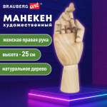 Манекен Brauberg