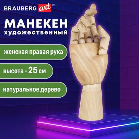 Манекен Brauberg