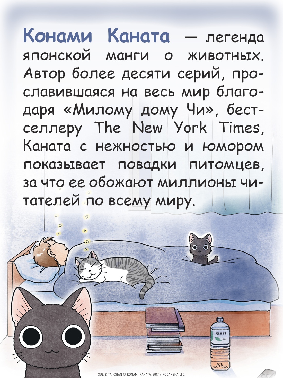 Книга АЗБУКА Графические романы/Каната К./Сью и Тайчик. Кн. 1 - фото 8