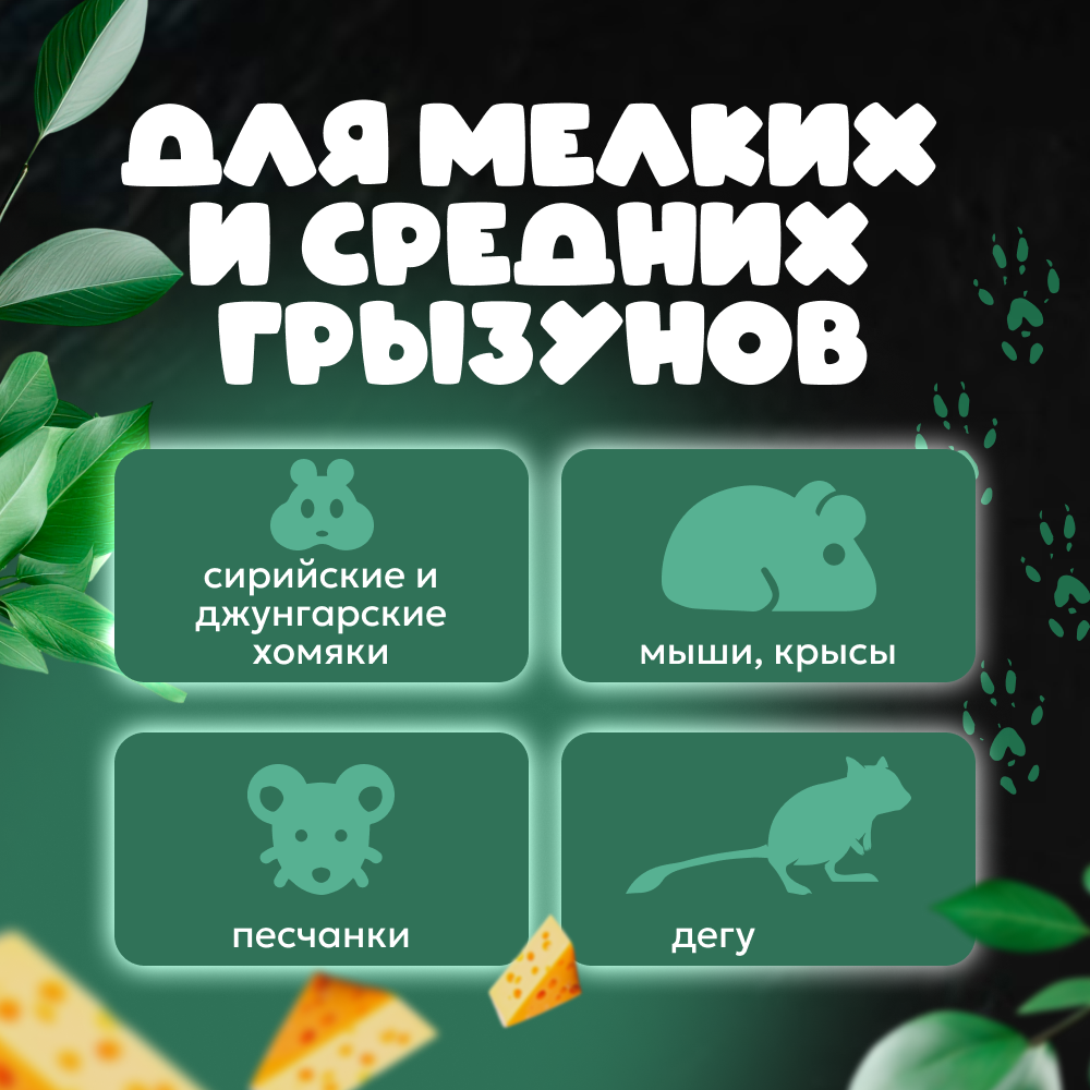 Клетка для грызунов ZDK ZooWell Двухэтажная 37*27*28 см, зеленая - фото 2