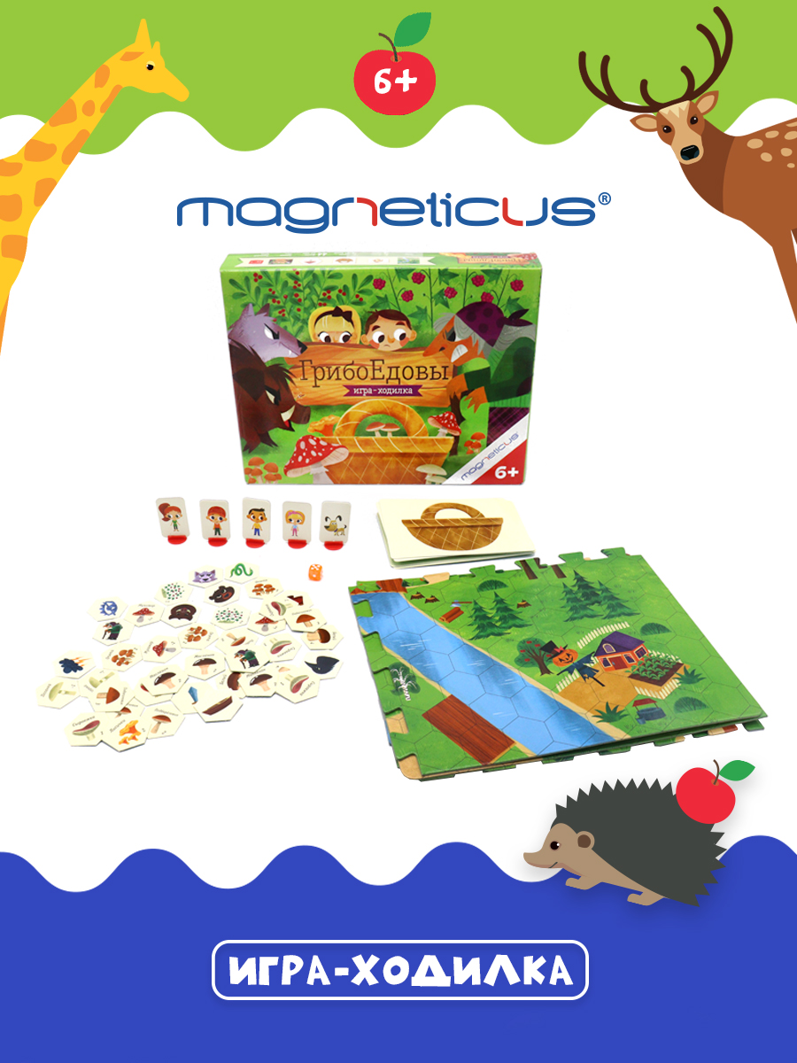 Настольная игра MAGNETICUS - фото 2