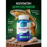 Коллаген морской с МСМ витамин С Доктор Море Для суставов и связок 120 капсул