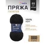 Пряжа Astra Premium Галатея акриловая 100 г 250 м 02 черный 3 мотка