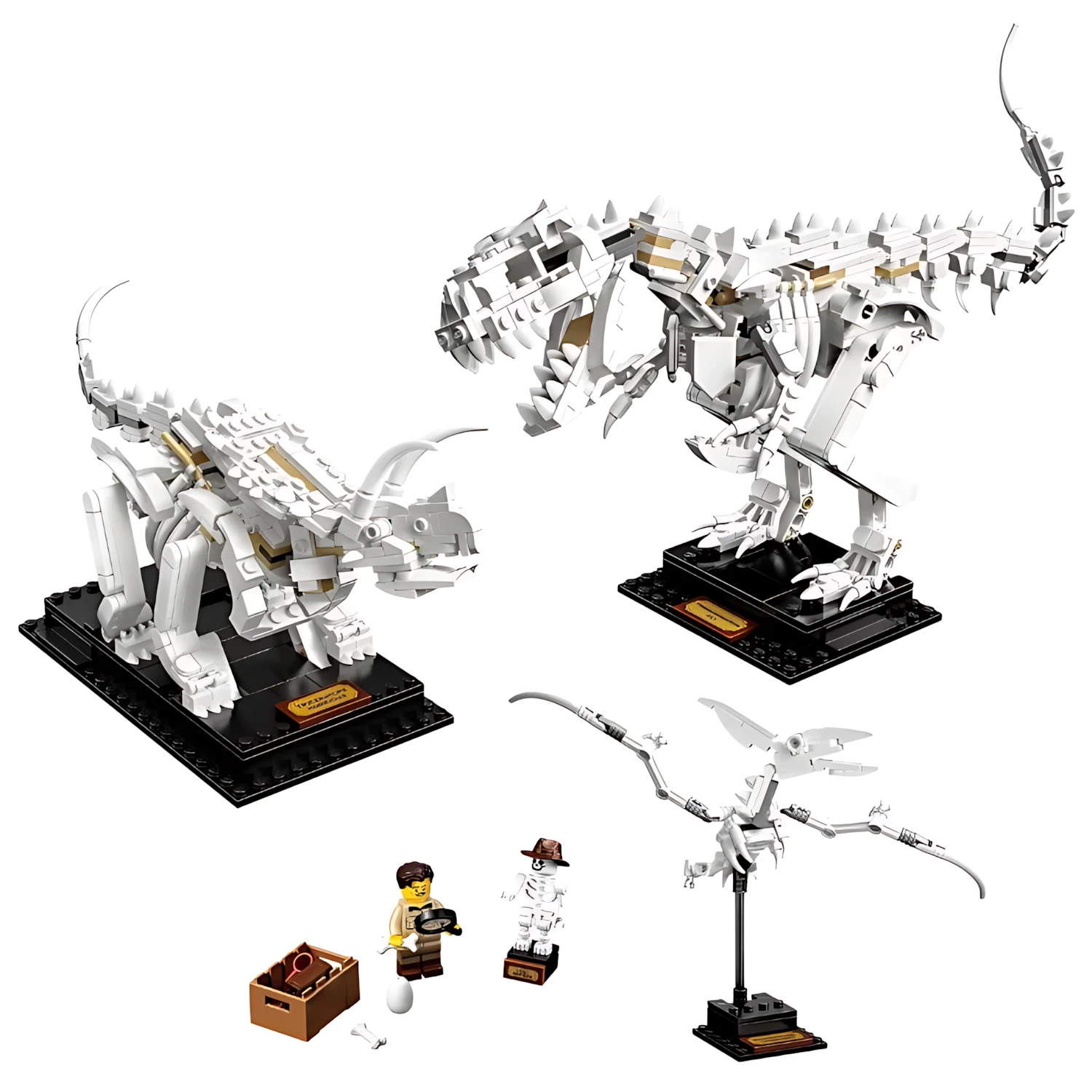 Конструктор LEGO Ideas 21320 899 дет. - фото 1