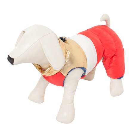 Комбинезон для собак PIFPAF DOG