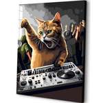 Картина по номерам Art sensation Кот DJ в ассортименте