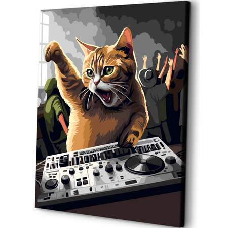 Картина по номерам Art sensation Кот DJ в ассортименте