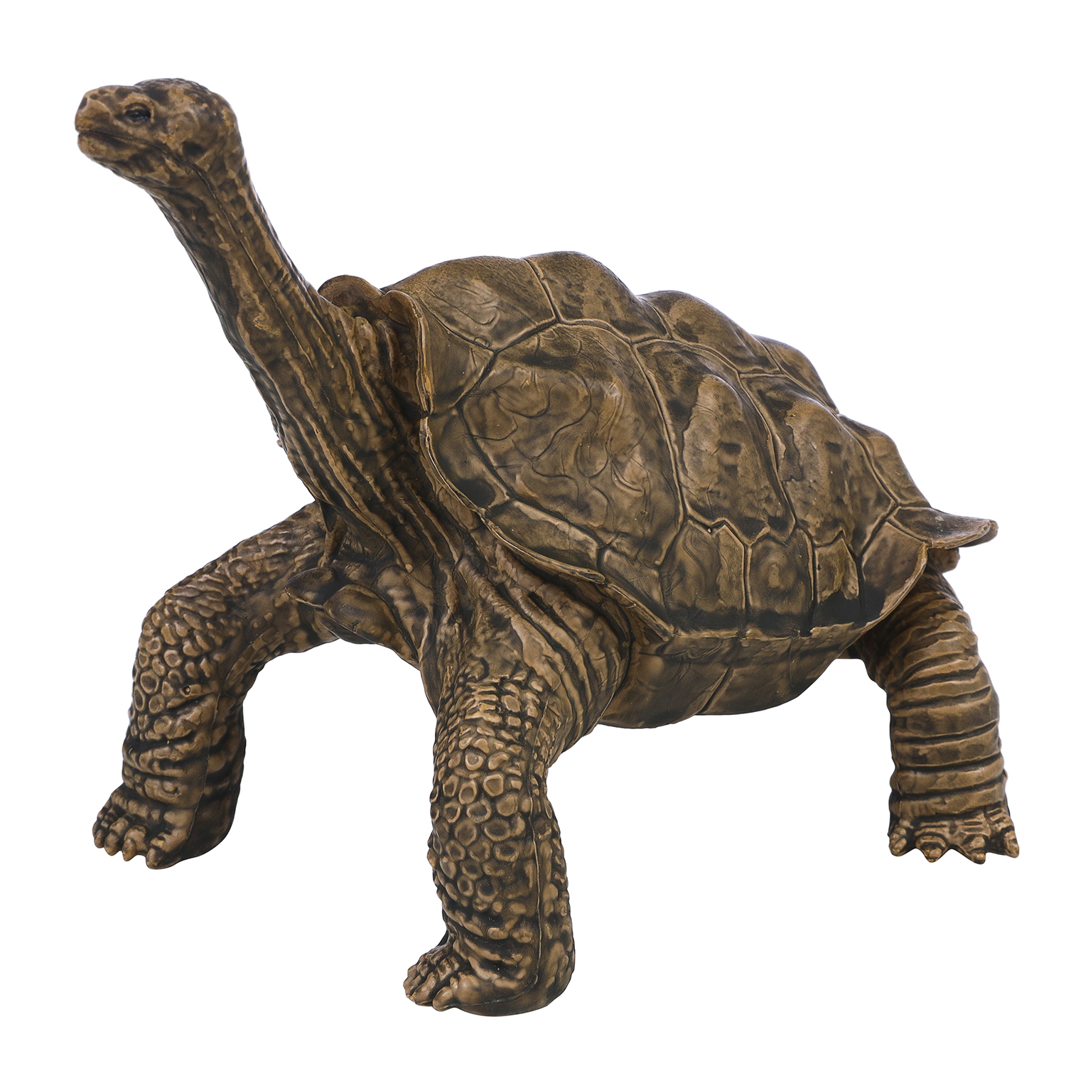 Игровой набор Masai Mara Черепаха - фото 6