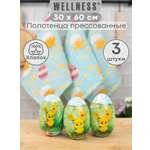 Набор полотенец прессованных Wellness P102-3
